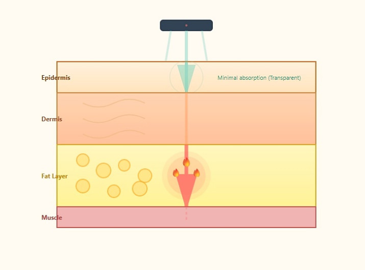 흥미로운 이미지