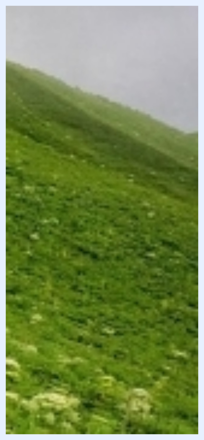 Mysterious appearance