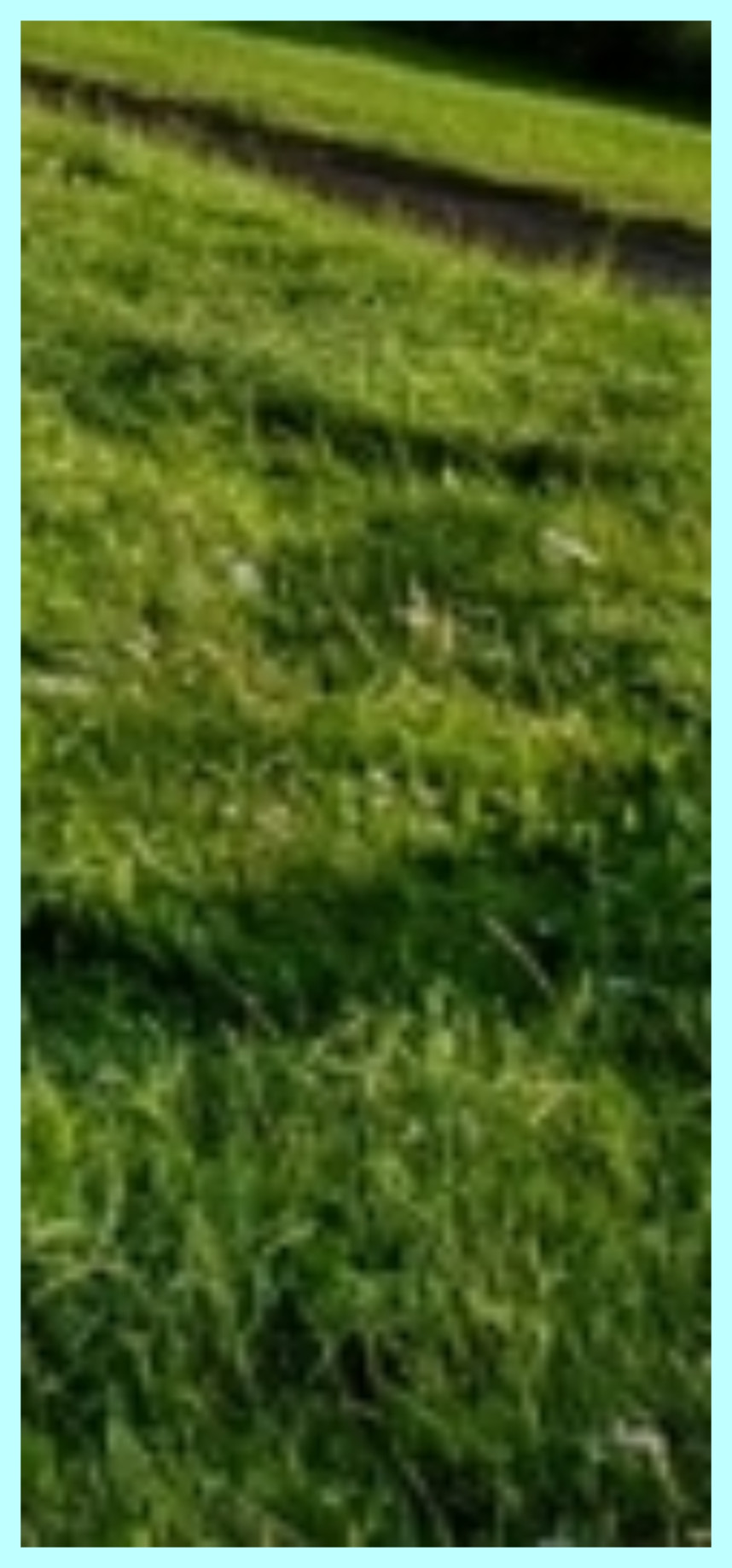 인상 깊은 모습