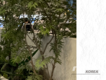 인상 깊은 모습