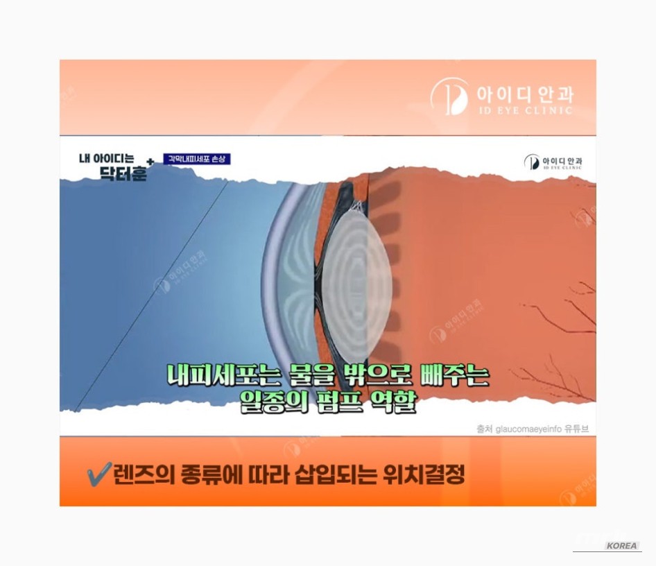 환상적인 장면