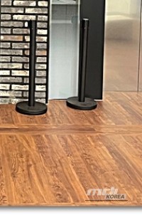 Mysterious appearance