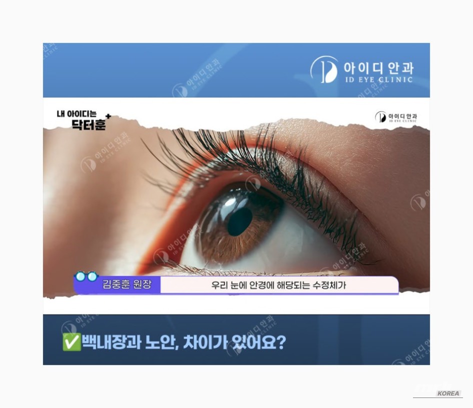 흥미로운 이미지