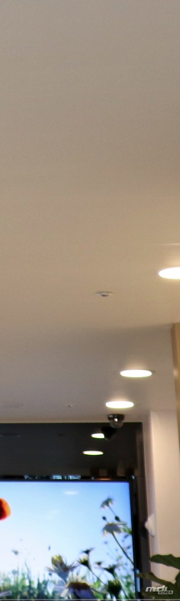 Impressive appearance