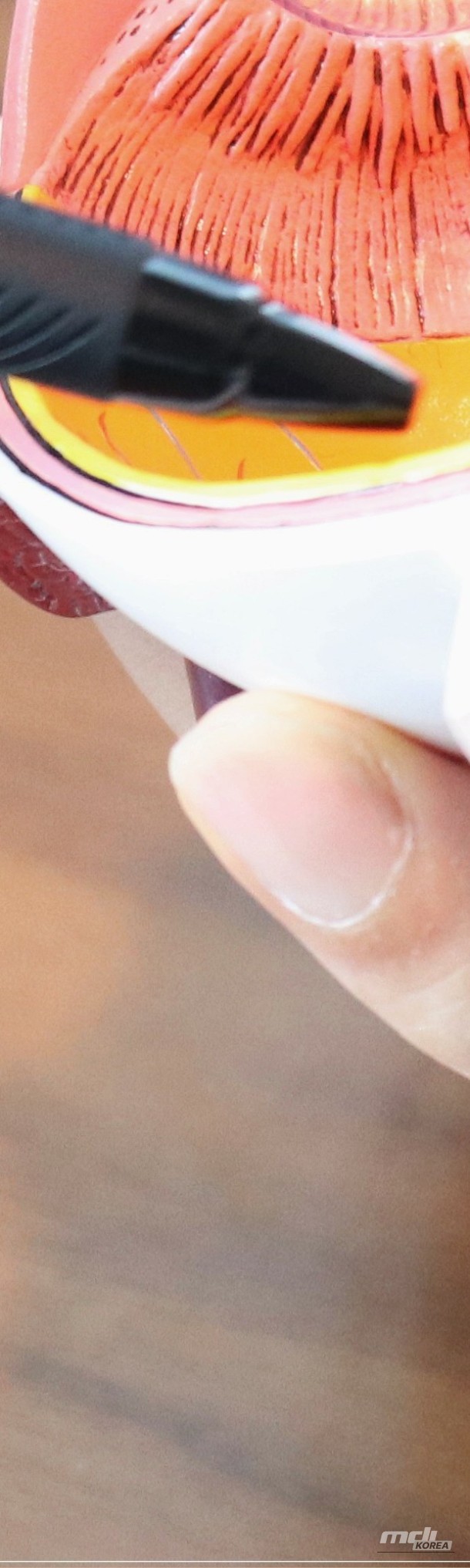 Impressive appearance