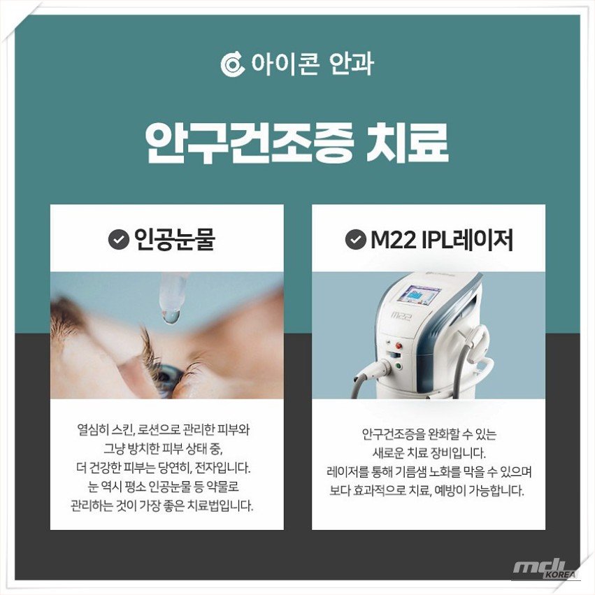 평화로운 풍경