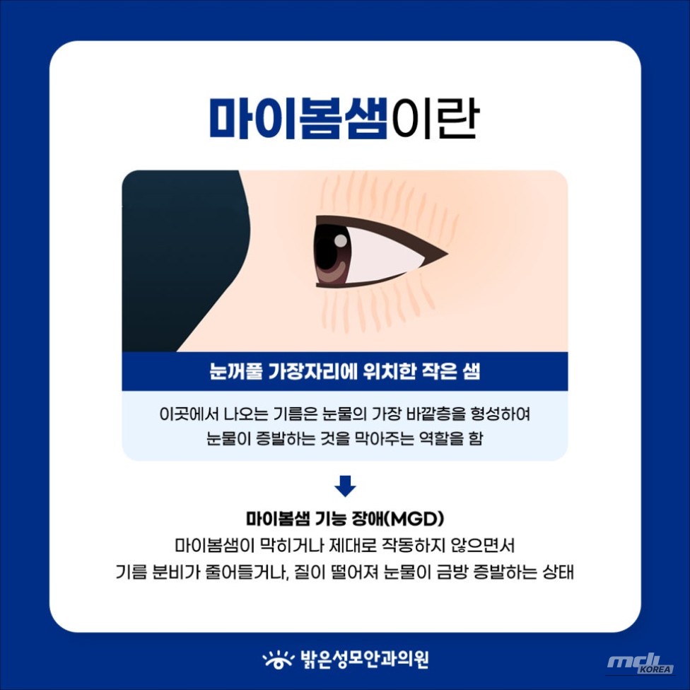 환상적인 장면