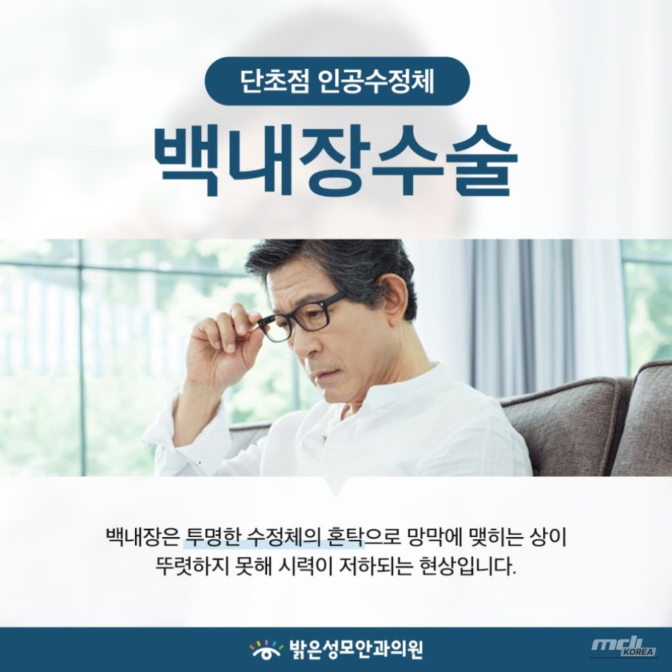 매력적인 사진