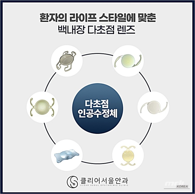 환상적인 장면