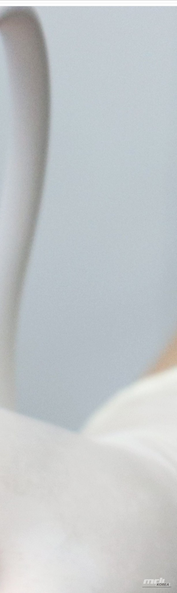 Mysterious appearance