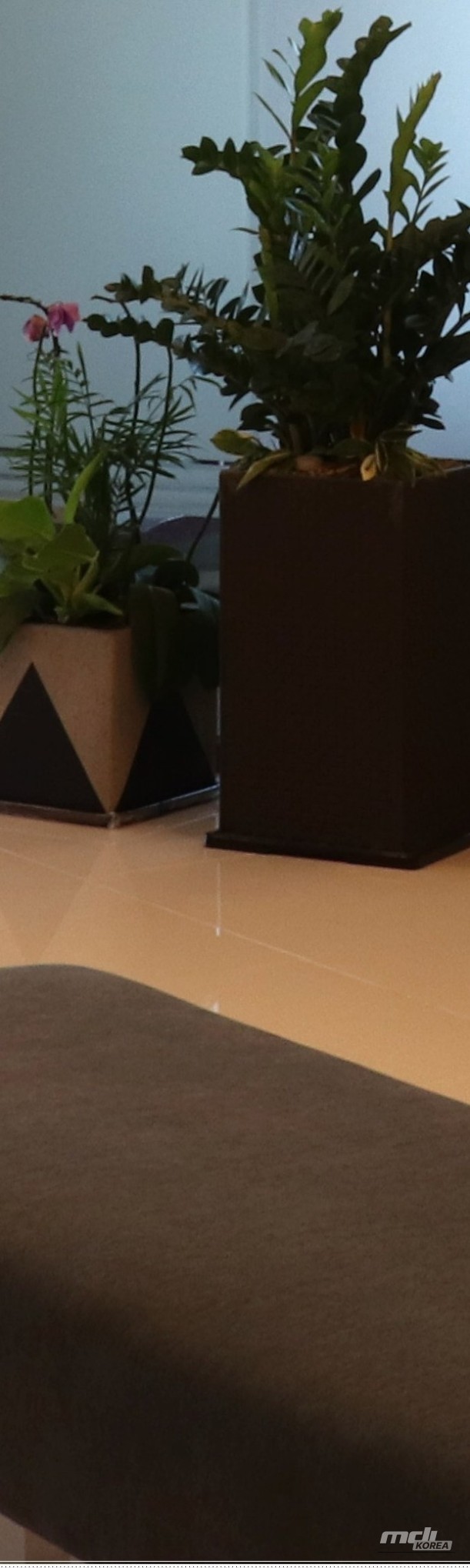 Mysterious Appearance