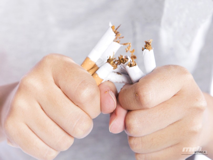 흥미로운 이미지