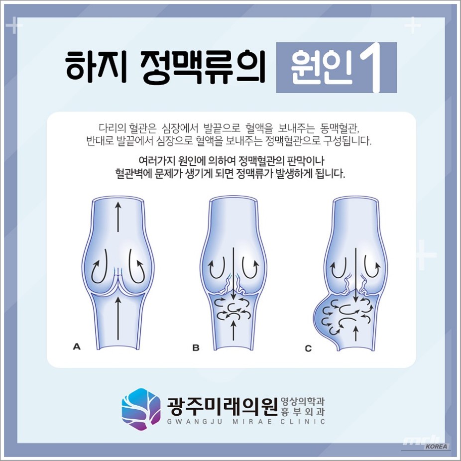환상적인 장면