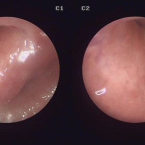 Mysterious appearance