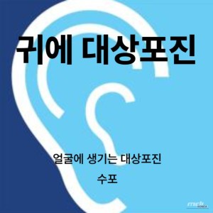 감동적인 장면